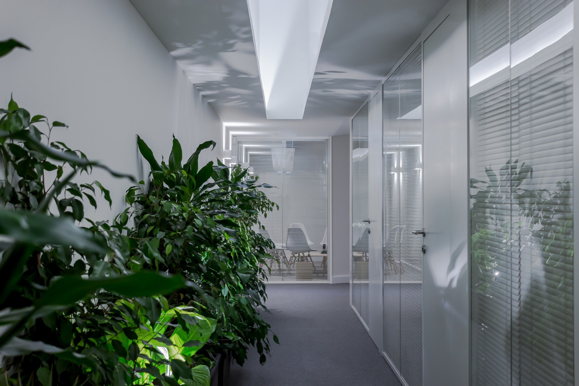 gallery
